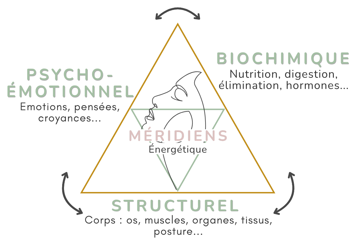 image-accueil-kinesiologie