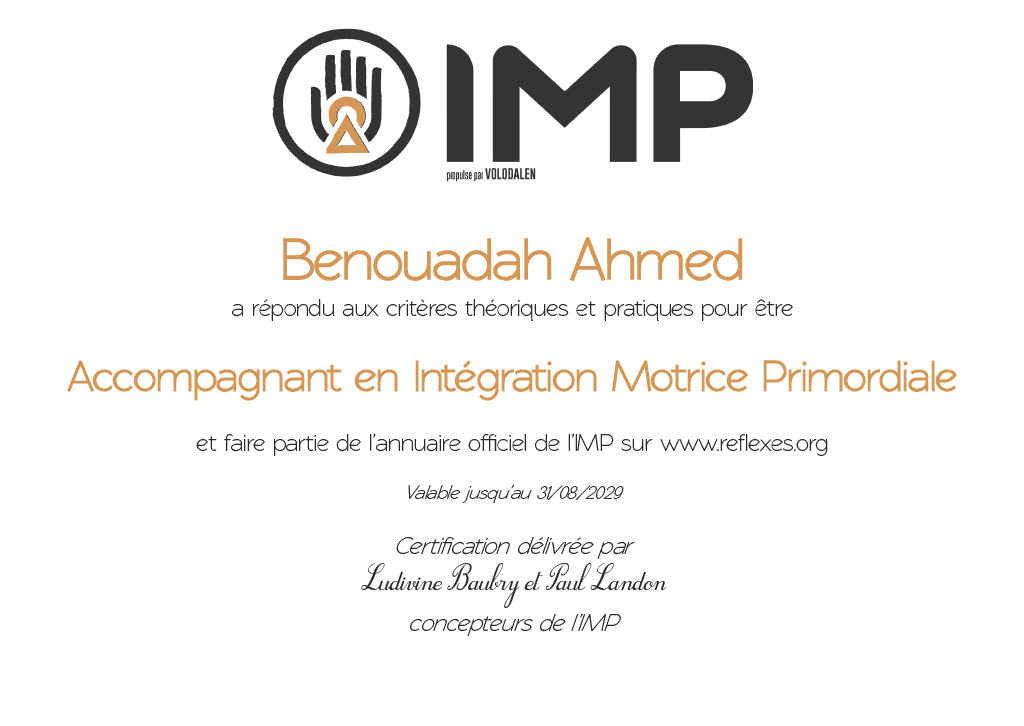 certification IMP réflexes