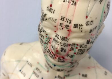 acupuncture, acupuncture model, mannequin, medical, healthcare, anatomy, traditional chinese medicine, brown medical, brown medicine, brown healthcare, acupuncture, acupuncture, acupuncture, acupuncture, acupuncture